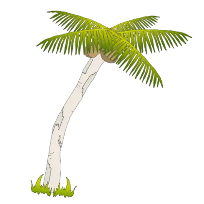 Coconut Tree Illustration with Green Fronds