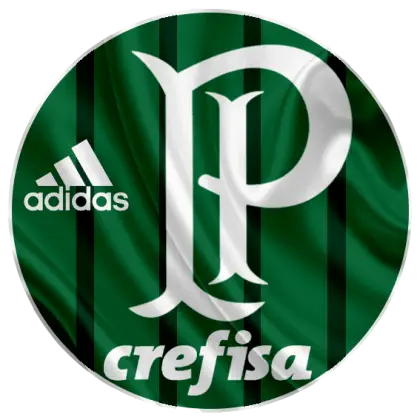 Palmeiras Emblem with Adidas and Crefisa