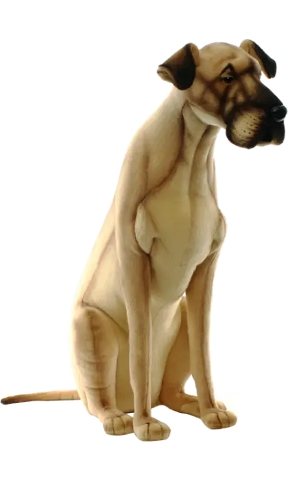 Sitting Dog Illustration