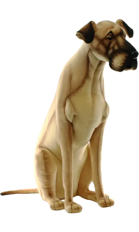 Sitting Dog Illustration