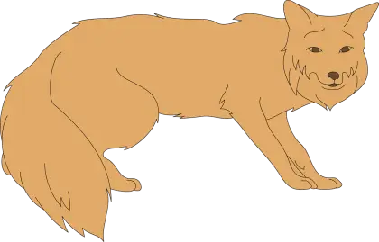 Tan Fox Illustration