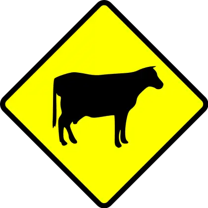 Cow Crossing Road Sign on Yellow Background