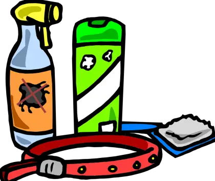 Pet Care Items including Collar and Grooming Products