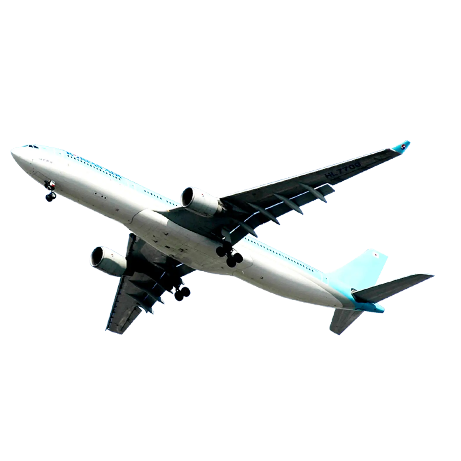 Large Commercial Airplane in Flight