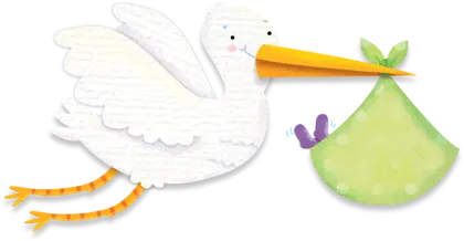 Stork Carrying Baby Bundle Illustration