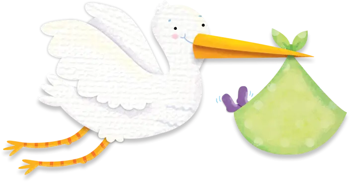 Stork Carrying Baby Bundle Illustration