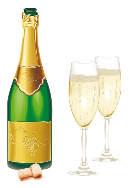 Celebration Champagne Bottle and Glasses