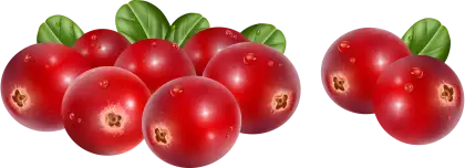 Fresh Red Cranberries