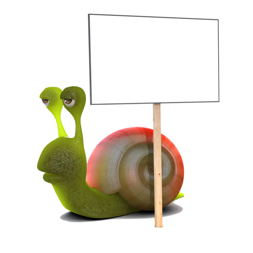 Green Snail Holding a Blank Sign