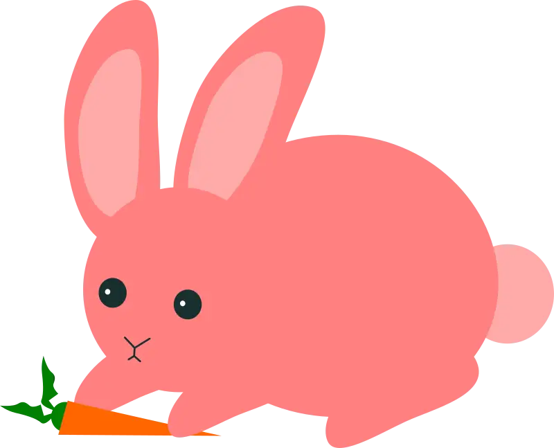 Pink Rabbit with Carrot