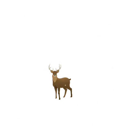Brown Deer Standing in Snowy Field