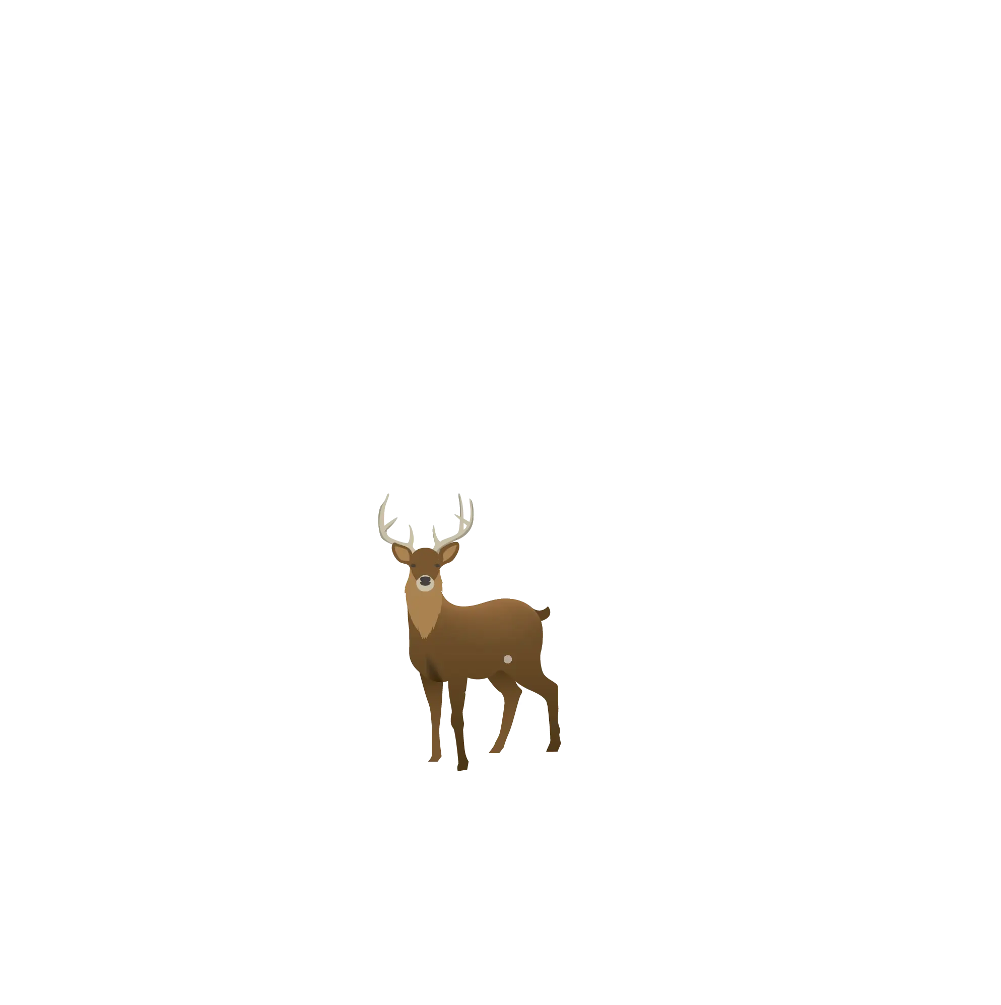 Brown Deer Standing in Snowy Field
