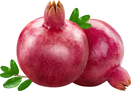 Red Juicy Pomegranates with Leaves