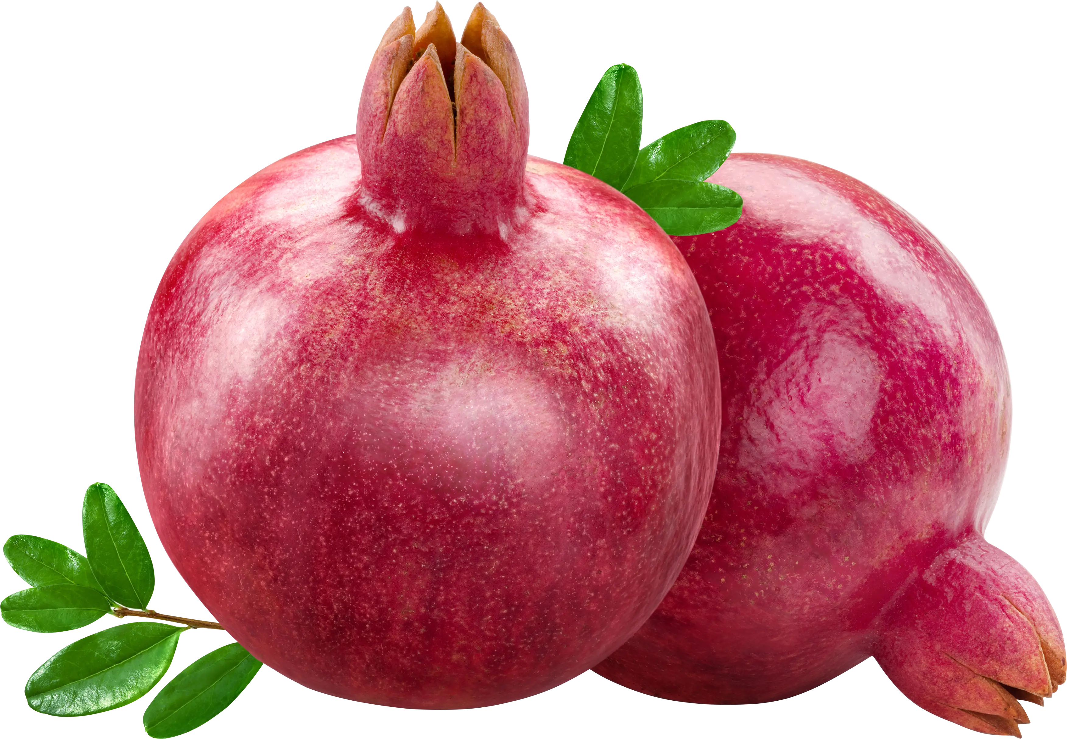Red Juicy Pomegranates with Leaves