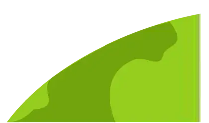Green Triangular Shape Design