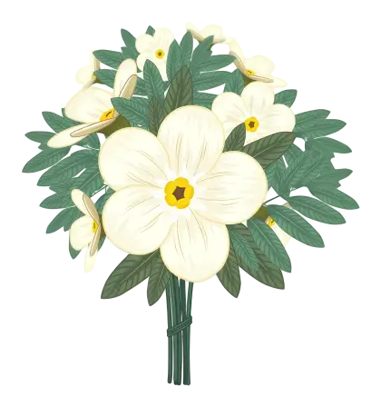 White Flower Bouquet for Beautiful Arrangements