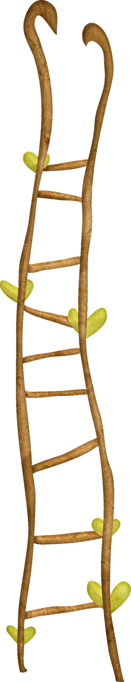 Wooden Ladder with Vines