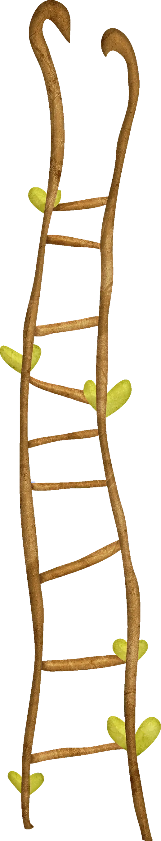 Wooden Ladder with Vines