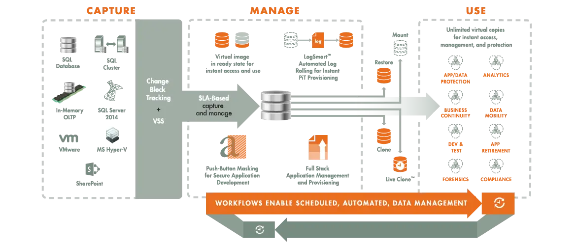 Data Management Workflow Diagram