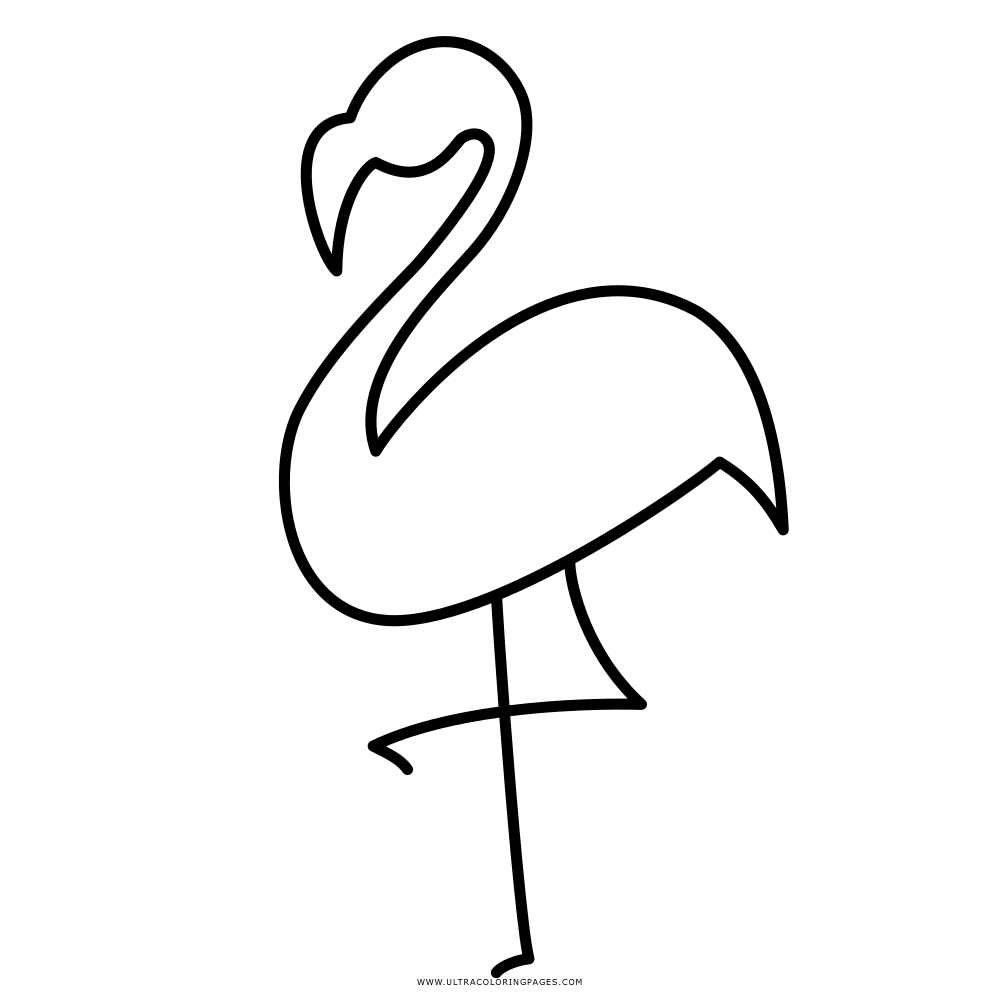 Minimalist Flamingo Line Art Illustration