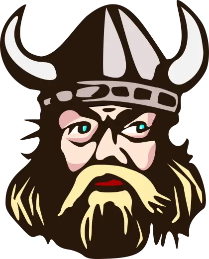 Viking Warrior with Horned Helmet Illustration
