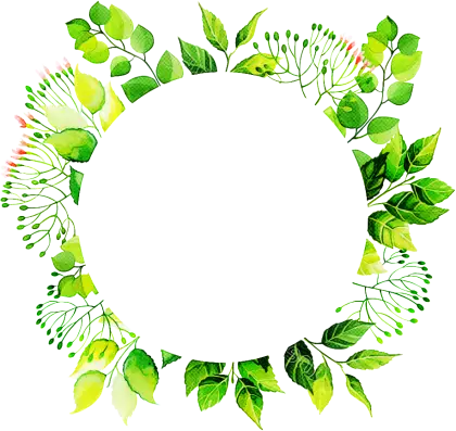 Natural Green Leaf Wreath Illustration