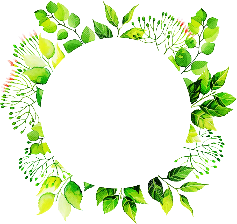 Natural Green Leaf Wreath Illustration