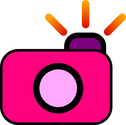 Pink Camera Icon with Flash