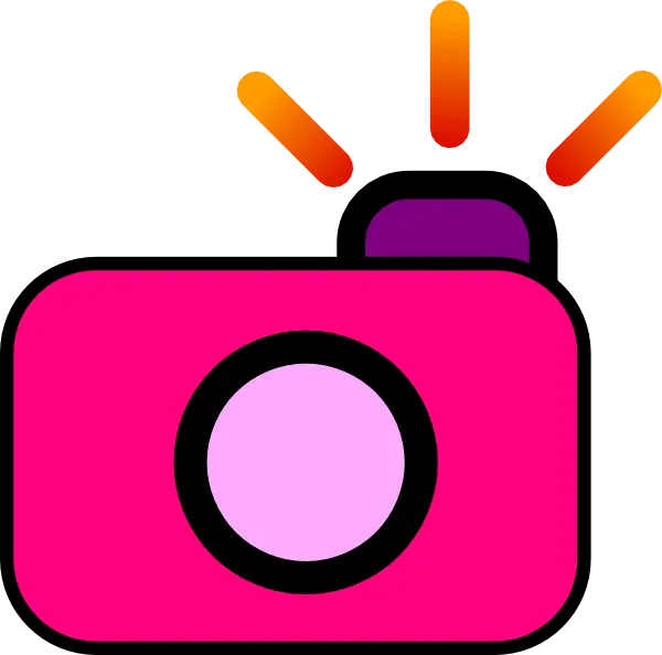 Pink Camera Icon with Flash