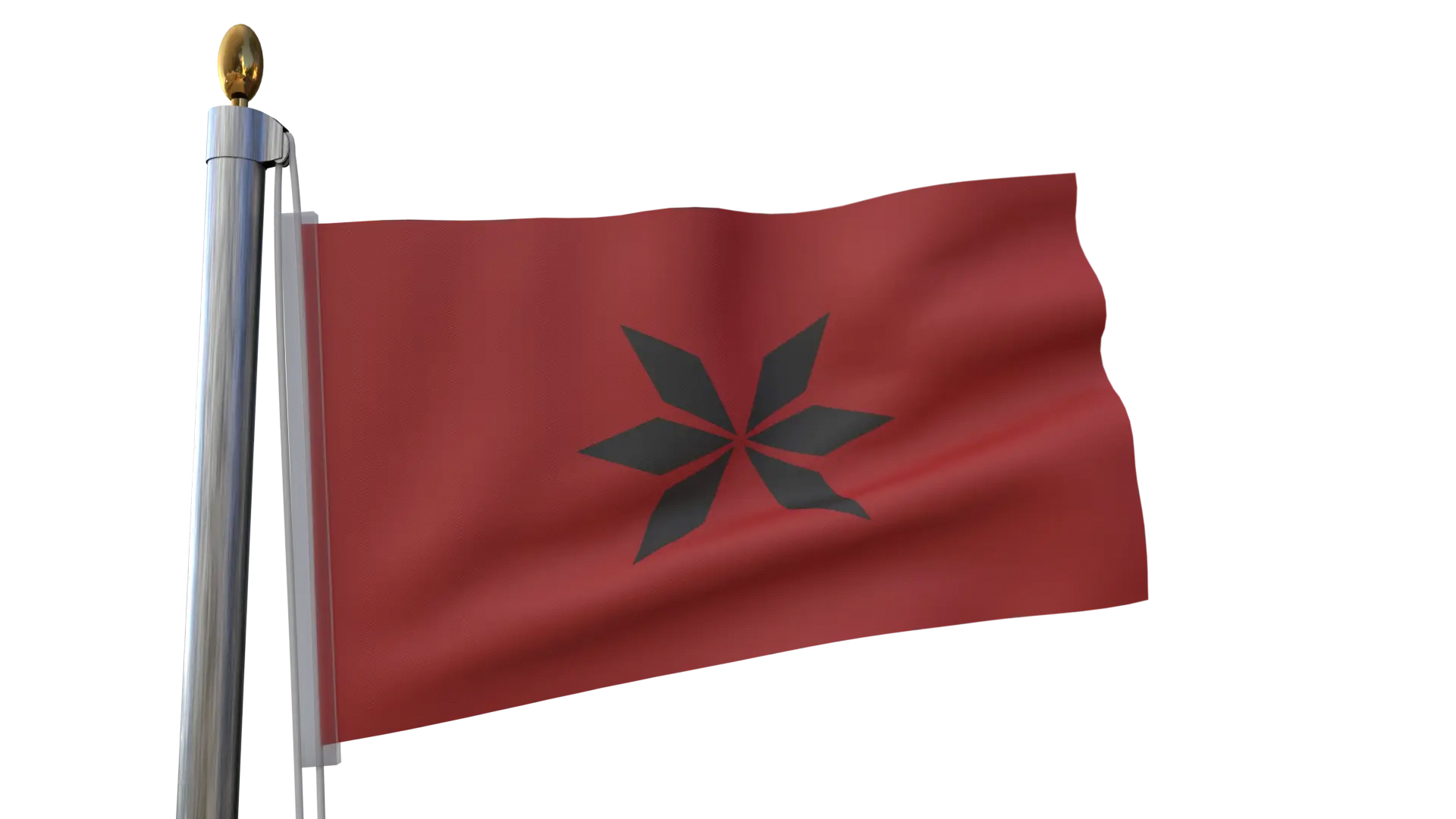 Red Flag with Black Star Emblem