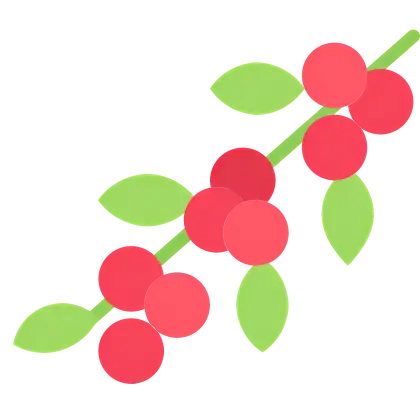 Red Berries on a Stem Illustration