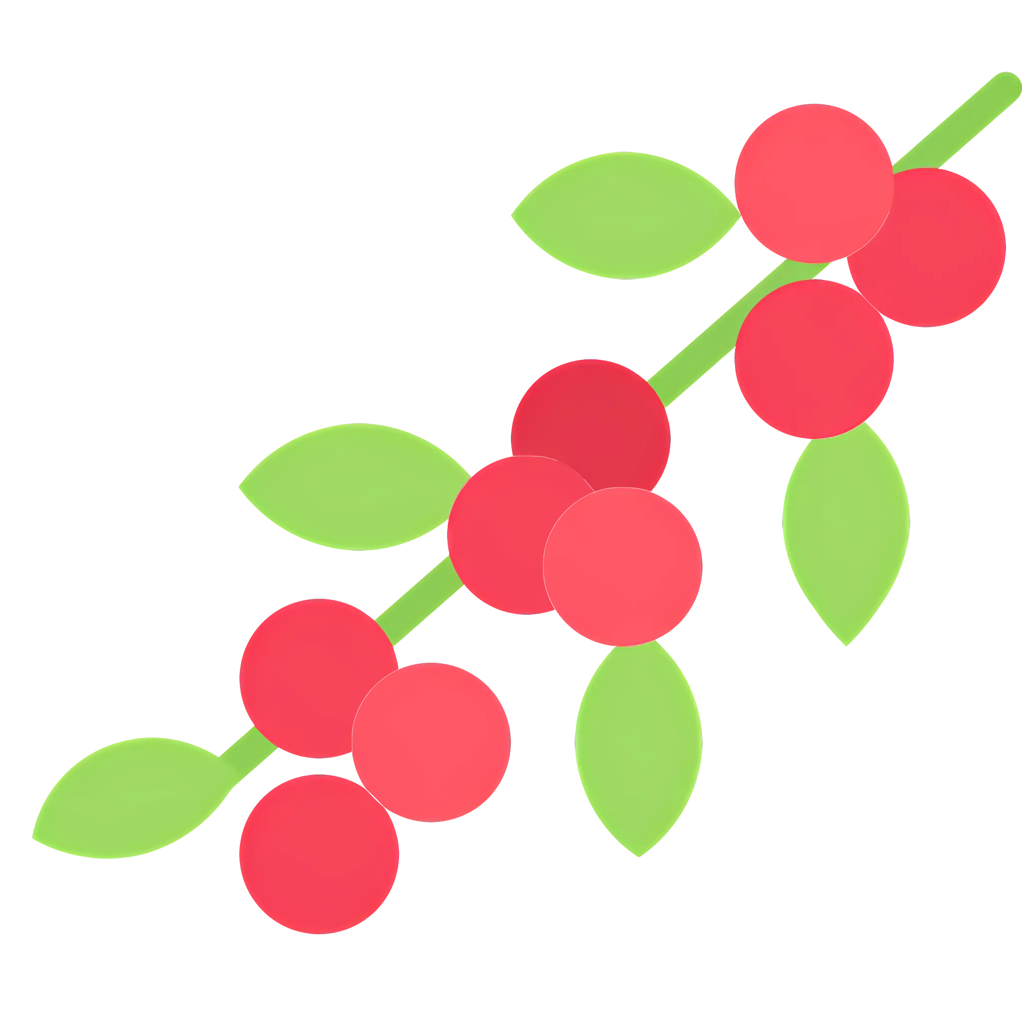 Red Berries on a Stem Illustration