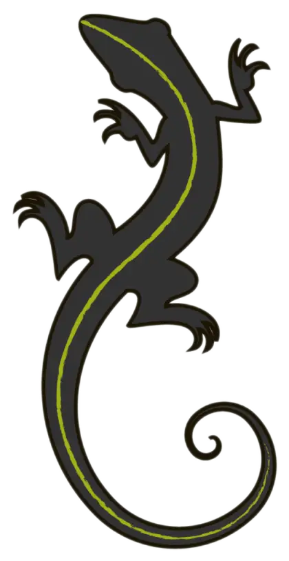 Black Lizard Illustration