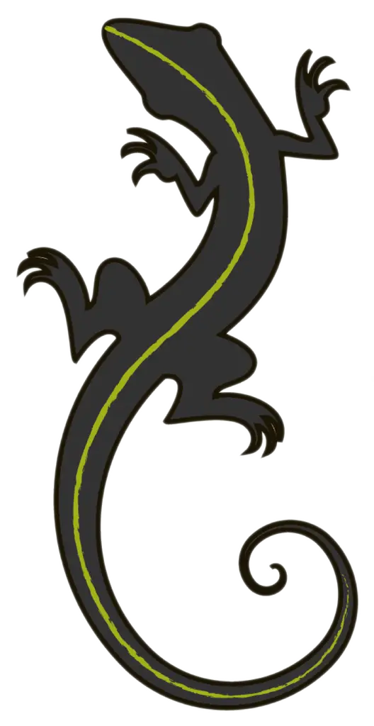 Black Lizard Illustration