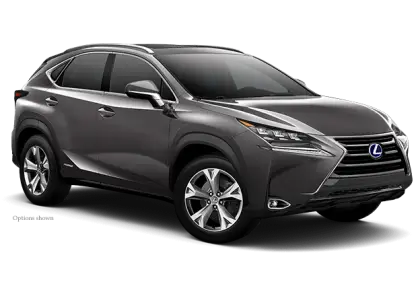 Lexus SUV in Gray