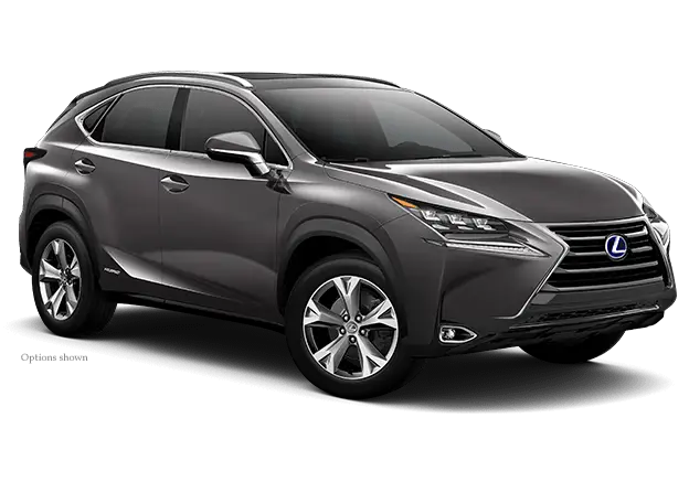 Lexus SUV in Gray