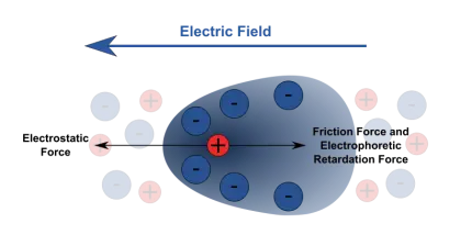 Electric Field and Electrostatic Force Diagram
