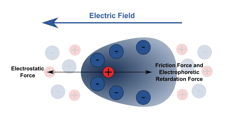 Electric Field and Electrostatic Force Diagram
