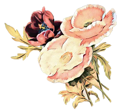 Vintage Flower Bouquet Sketch Illustration