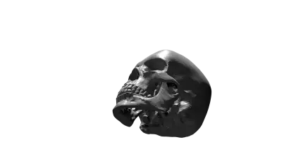 Black Skull