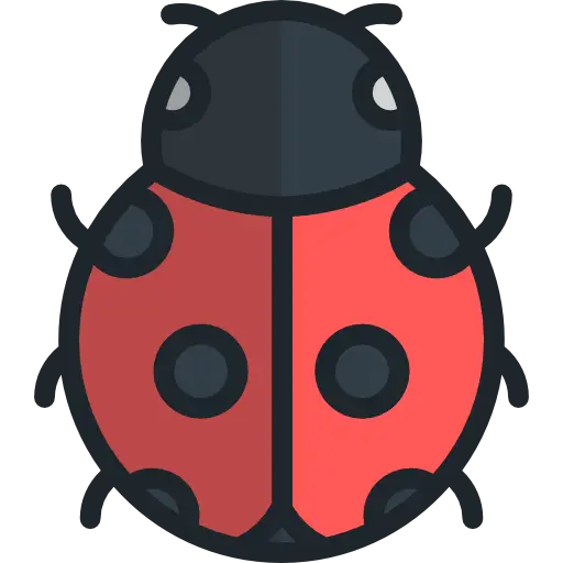 Minimalist Cartoon Ladybug