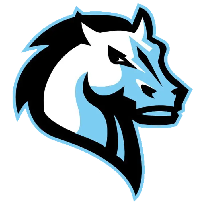 Stylized Horse Head Logo