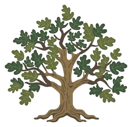 Oak Tree Drawing with Green Leaves