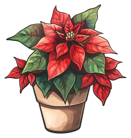 Festive Red Poinsettia Plant in Pot