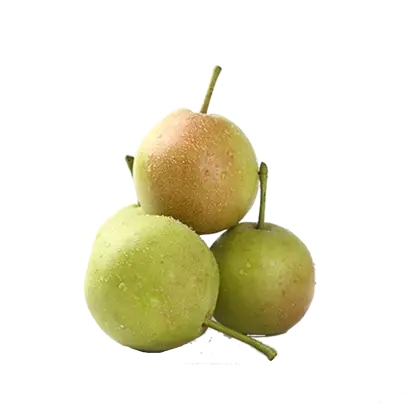 Fresh Green Pears Illustration