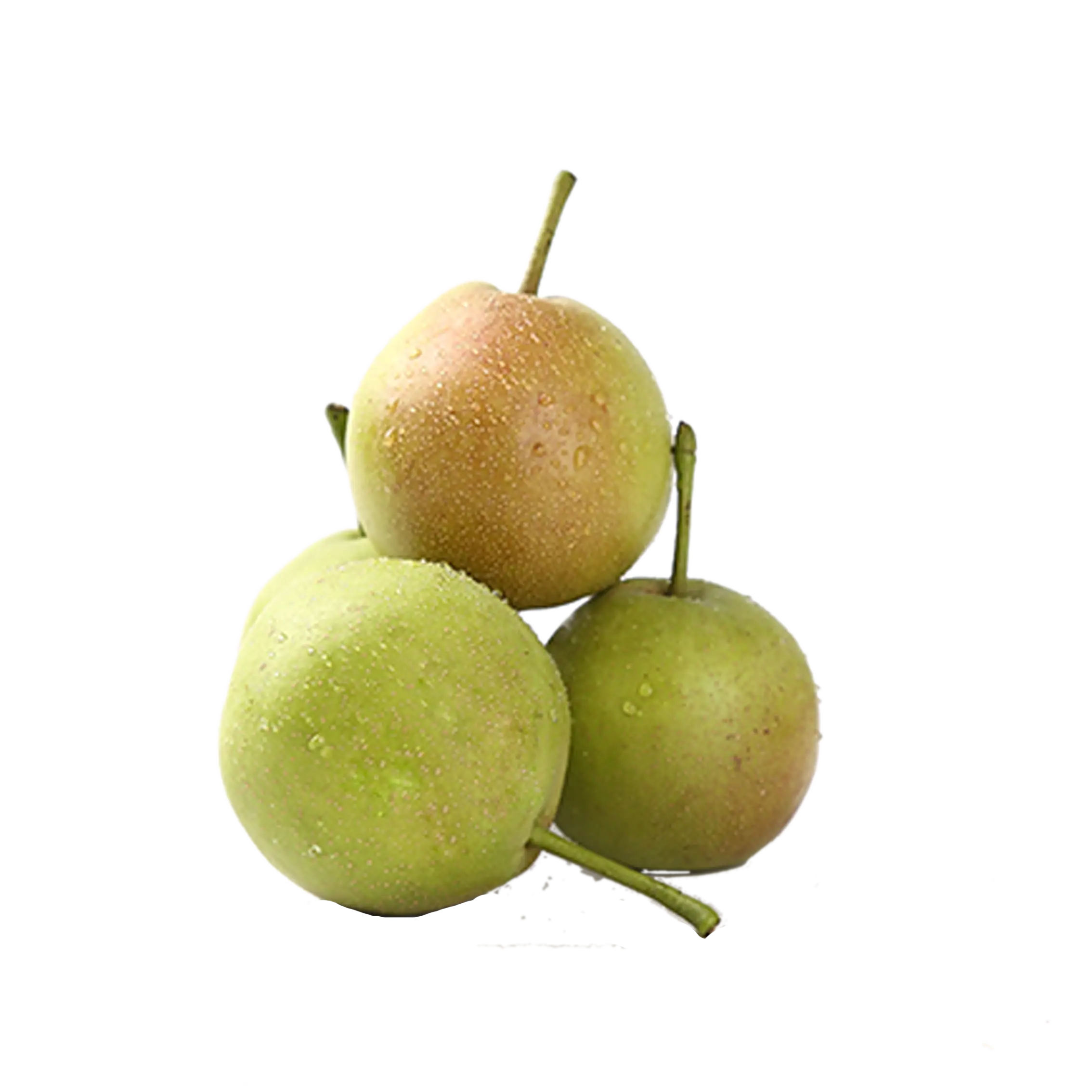 Fresh Green Pears Illustration