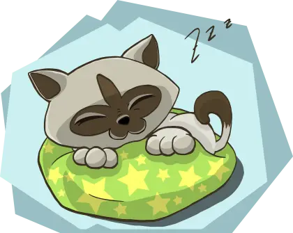 Sleeping Cat on a Pillow
