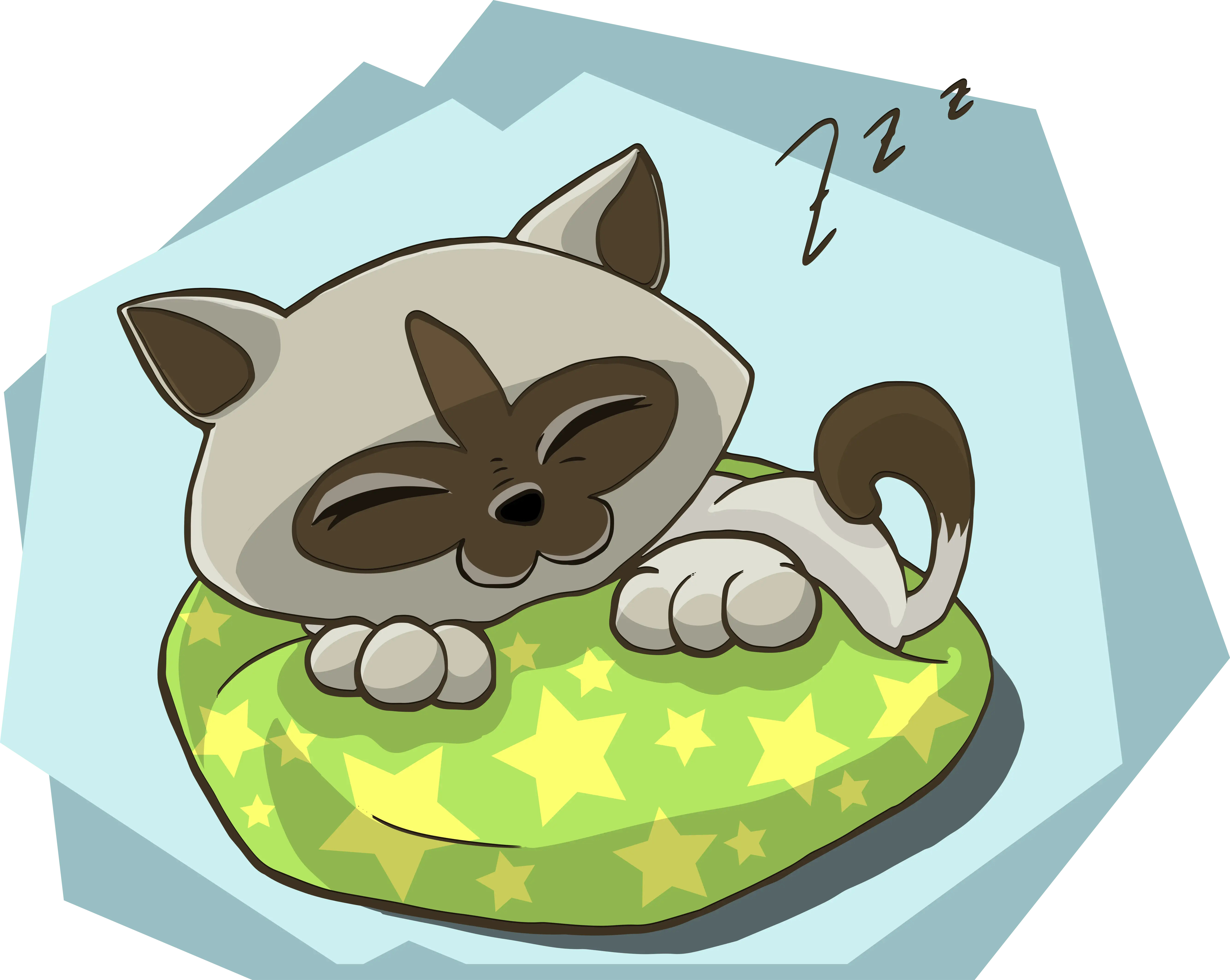 Sleeping Cat on a Pillow