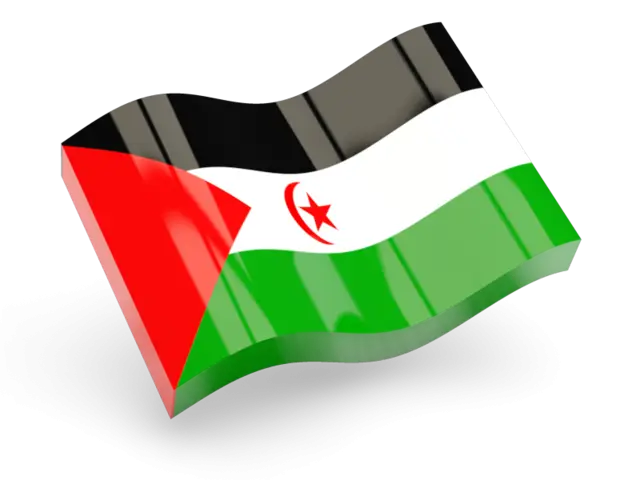 Sahrawi Arab Democratic Republic Flag Illustration