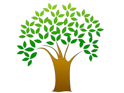 Green Tree Illustration with Lush Leaves